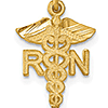 14kt Yellow Gold 5/8in Registered Nurse Charm