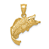 14k Yellow Gold Fish Pendant 5/8in