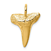 14k Yellow Gold Shark Tooth Pendant 5/8in