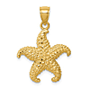 14k Yellow Gold Ochre Starfish Pendant 3/4in