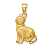14k Yellow Gold Cat Pendant with Collar 3/4in
