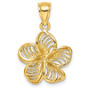 14k Yellow Gold Cut-out Plumeria Pendant with Beaded Texture 5/8in