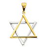 14k Two-Tone Gold 1 5/16in Star Of David Pendant