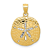 14k Yellow Gold Sand Dollar Pendant with Rhodium 5/8in