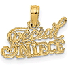 14k Yellow Gold Special Niece Pendant