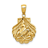 14k Yellow Gold Sea Turtle and Shell Pendant 5/8in