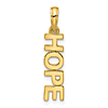 14k Yellow Gold Vertical HOPE Pendant 3/4in