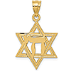 14kt Yellow Gold Solid 3/4in Polish Chai in Star of David Charm
