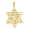 14k Yellow Gold 1 3/8in Star Of David 12 Tribes Pendant