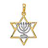 14k Yellow Gold and Rhodium 7/8in Solid Menorah in Star of David Charm