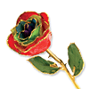 Lacquer Dipped Gold Trim Gypsy Rainbow Rose