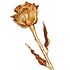 24kt Gold Dipped Rose