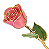 Lacquer Dipped Gold Trim Pink Rose