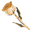 Lacquer Dipped Gold Trim White Rose