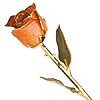 Lacquer Dipped Gold Trim Orange Rose