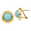 14k Yellow Gold Reconstituted Turquoise Earrings Omega Backs