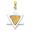14k Two-tone Gold 7/8in Star of David Pendant