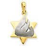 14k Two-tone Gold 3/4in Star of David Pendant with Shin