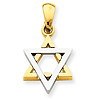 14k Two-tone Gold Small Star of David Pendant
