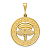 14k Yellow Gold The Art Of Caring Registered Nurse Pendant