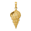 14k Yellow Gold Conch Shell Pendant 7/8in