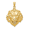 14k Yellow Gold Lion Head Pendant 1in
