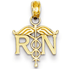 14kt Yellow Gold 1/2in Registered Nurse Petite Charm