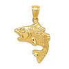 14k Yellow Gold Textured Bass Fish Pendant 3/4in