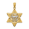 14k Yellow Gold and Rhodium Star of David with Chai Pendant 3/4in