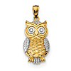 14kt Two-tone Gold 1in Owl Pendant with Textured Finish