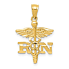 14k Yellow Gold Small Registered Nurse Pendant