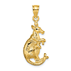 14k Yellow Gold Kangaroo Pendant with Baby
