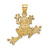 14k Yellow Gold Textured Tree Frog Pendant 3/4in