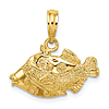 14k Yellow Gold Textured Trigger Fish Charm 3/8in