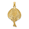 14k Yellow Gold Haller's Round Stingray Pendant 7/8in