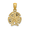 14k Yellow Gold Sand Dollar Star Charm 1/2in