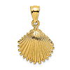 14k Yellow Scallop Shell Charm Textured Finish and Beaded Edges 5/8in