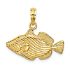 14k Yellow Gold Trigger Fish Pendant with Stripes 1/2in