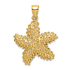 14k Yellow Gold Beaded Starfish Pendant 7/8in