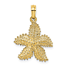 14k Yellow Gold Small Starfish Pendant with Beaded Texture