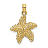 10k Yellow Gold Brushed and Polished Starfish Pendant 3/4in