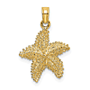 14k Yellow Gold Starfish Charm With Beaded Texture