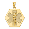14k Yellow Gold Hexagon Caduceus Pendant 1in