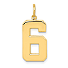 14k Yellow Gold Number 6 Pendant with Polished Finish 3/4in