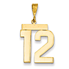 14k Yellow Gold Number 12 Pendant with Polished Finish 3/4in