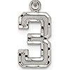 Sterling Silver Small Diamond-cut #3 Charm