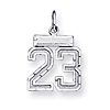 Sterling Silver Small #23 Charm