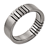 Titanium 6mm Satin Band with Black Accents