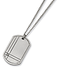 Titanium Dog Tag with Diamond Accent 22in Steel Necklace