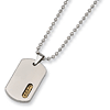 Titanium 24k Gold Plated Dog Tag Necklace with 22in Chain